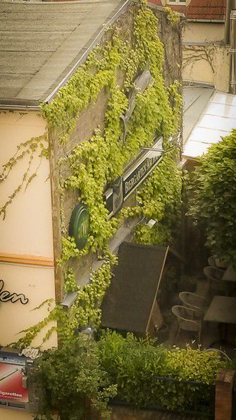 Gaststätte Vogelperspektive